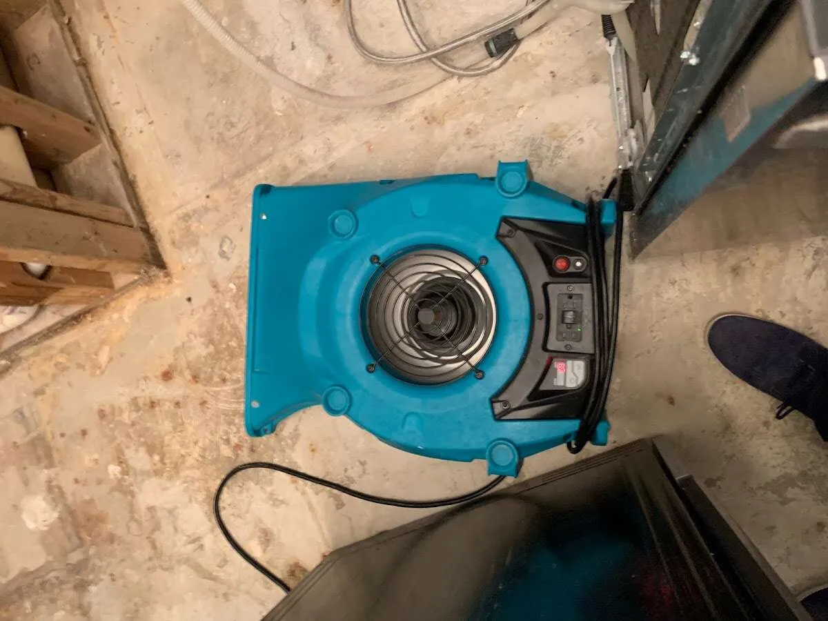 Air mover drying equipment for Mold Remediation & Removal in Scio